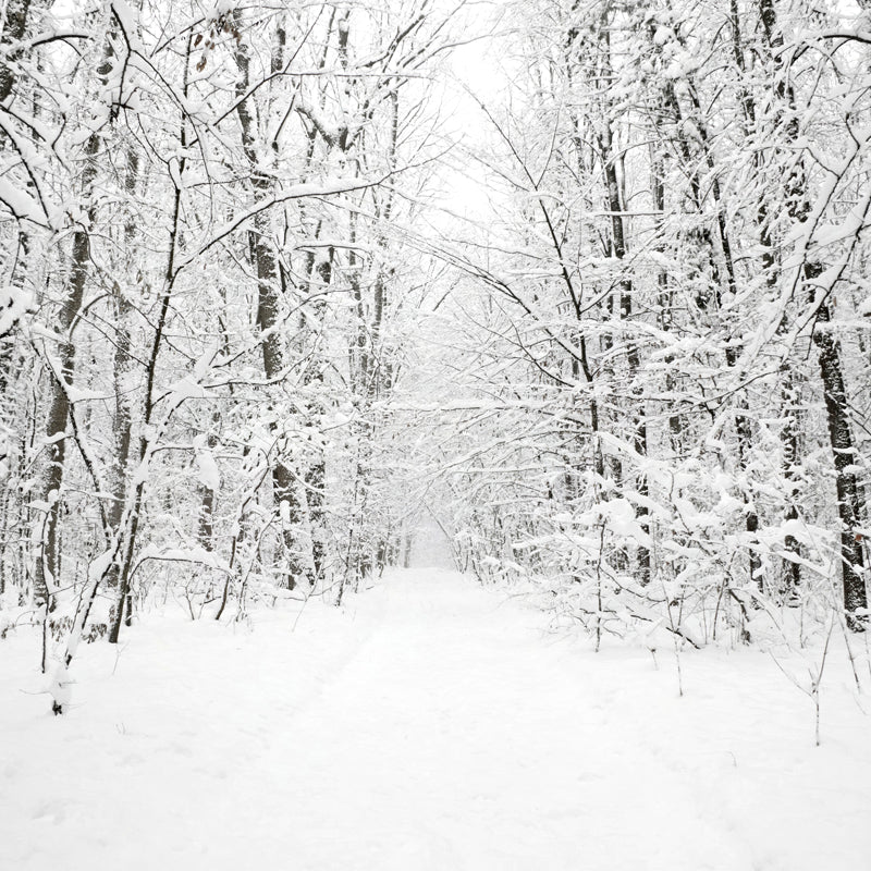 Vivolux | Witte sneeuwbedekte boomloze muurmuur winterlandschap moderne vochtbestendige wanddecoratie