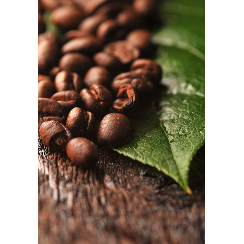 Vivolux | Pastel Farbe Kaffeebohnen Wanddekoration für die Dekoration Moderner Wohnzimmer Wanddekoration