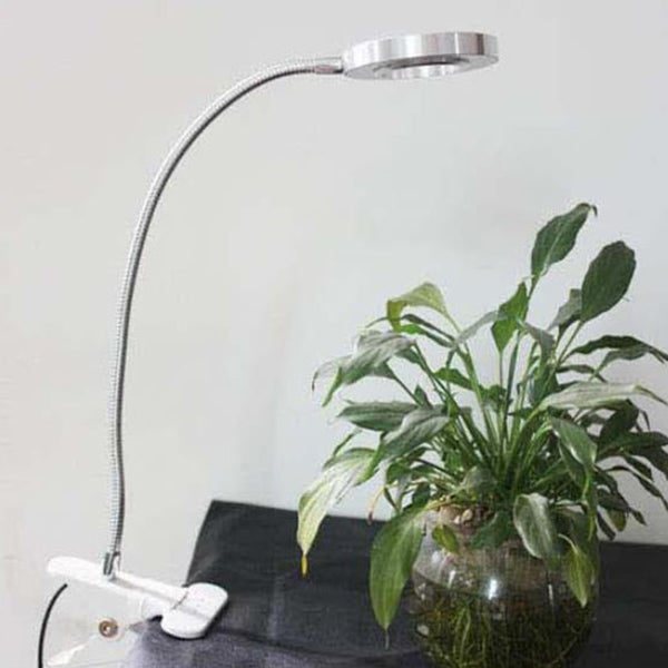 Vivolux | Kreative einfache USB Hose Knopf LED Lesen Clip Schreibtischlampe