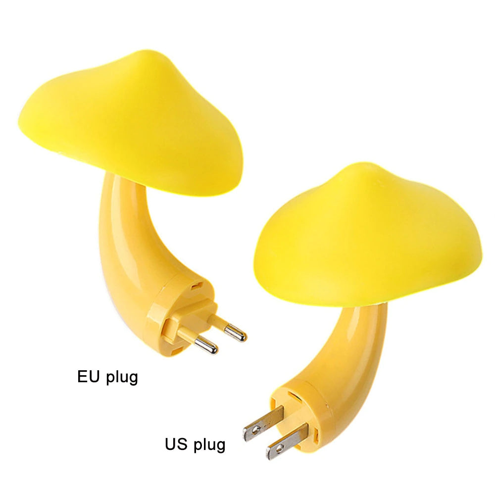 Vivolux | Pilz Wandsteckdosenlicht