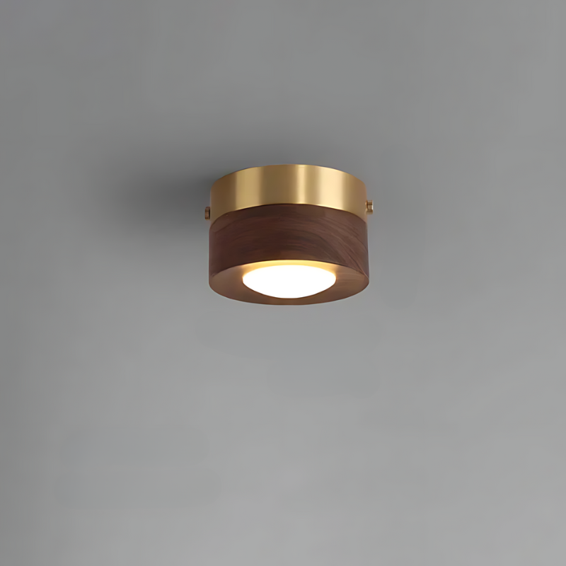 Vivolux | Walnuss-Deckenlampe mit LED-Strahler