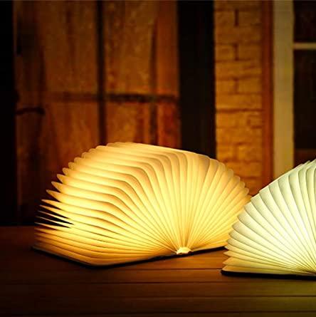 Vivolux | Frendorf Bücherlampe