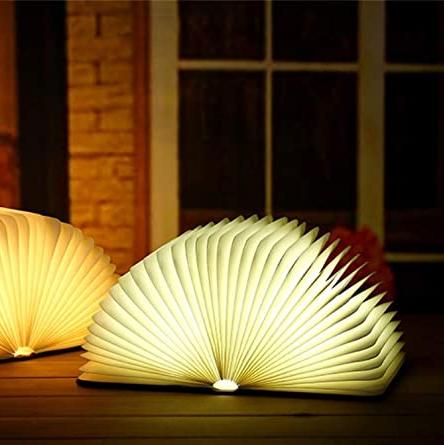 Vivolux | Frendorf Bücherlampe