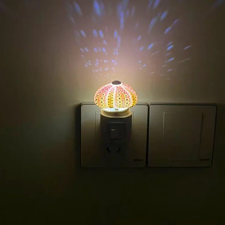Vivolux | LumiCraft – Einzigartige DIY Tischlampe mit natürlicher Urmuschel für eine stimmungsvolle Einrichtung