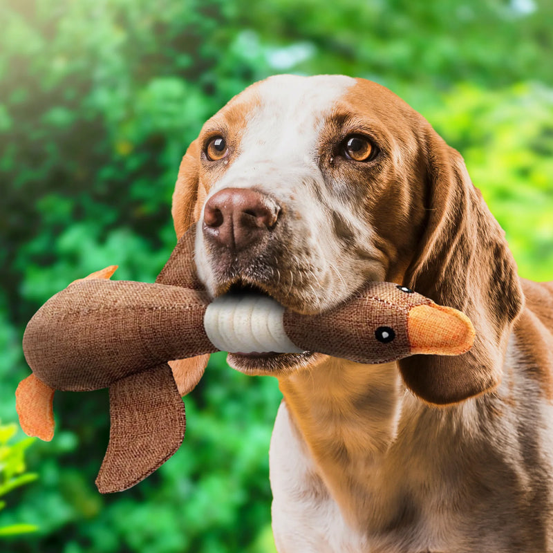 Vivolux | Unzerstörbares Hundespielzeug (1+1 GRATIS) - ToughGoose