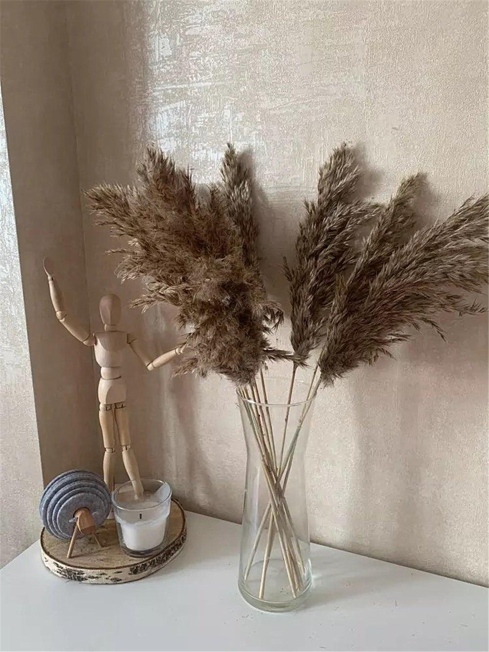 Vivolux | 60 cm natürlicher, echter, braun-beiger getrockneter Pampasgrasstrauß │ flauschige Feder für moderne Boho-Heimdekoration
