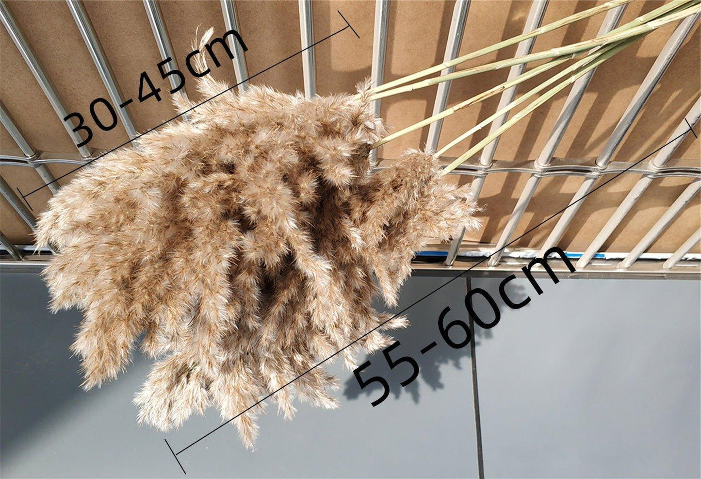 Vivolux | 60 cm natürlicher, echter, braun-beiger getrockneter Pampasgrasstrauß │ flauschige Feder für moderne Boho-Heimdekoration