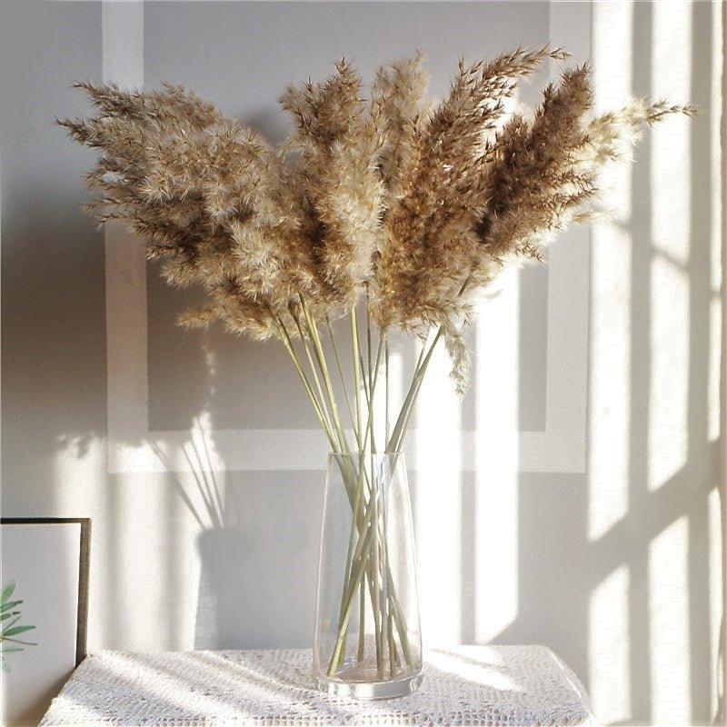 Vivolux | 60 cm natürlicher, echter, braun-beiger getrockneter Pampasgrasstrauß │ flauschige Feder für moderne Boho-Heimdekoration