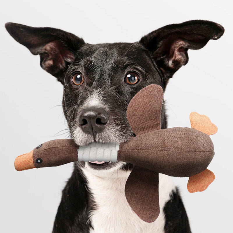 Vivolux | Unzerstörbares Hundespielzeug (1+1 GRATIS) - ToughGoose