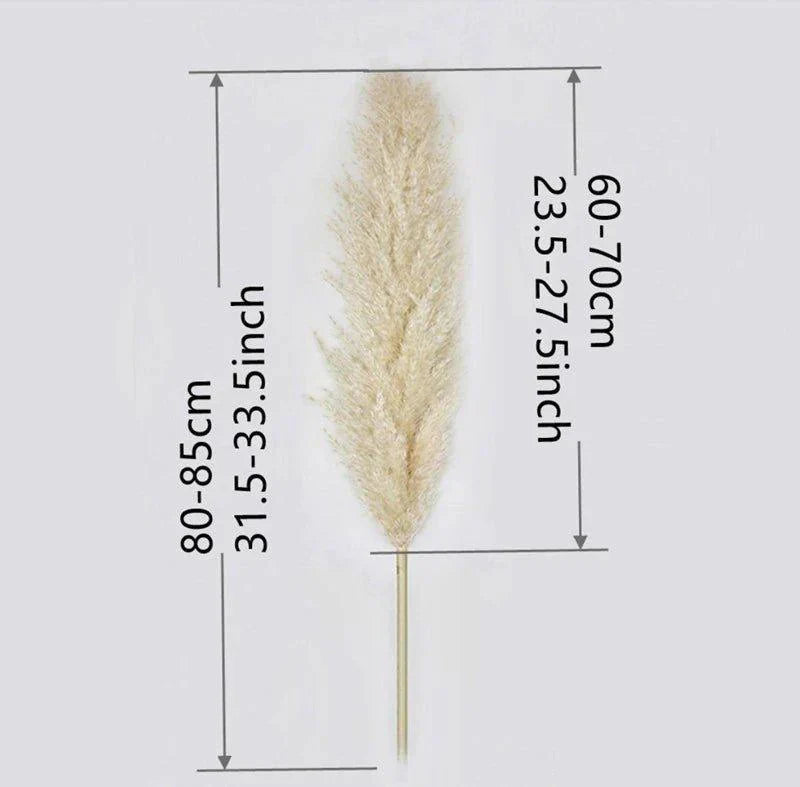 80 cm natürlicher, echter getrockneter Pampasgrasstrauß (weiß / beige / grau) │ flauschige Feder für moderne Boho-Heimdekoration