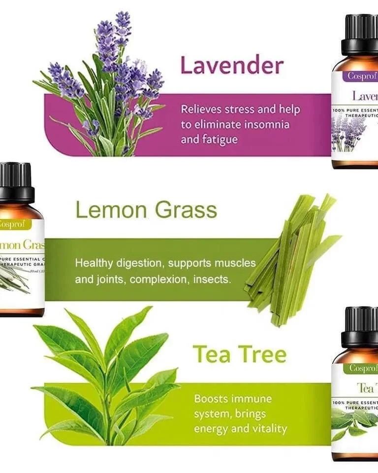 Vivolux | Set Of 12 Pure Essential Oils Gift Set