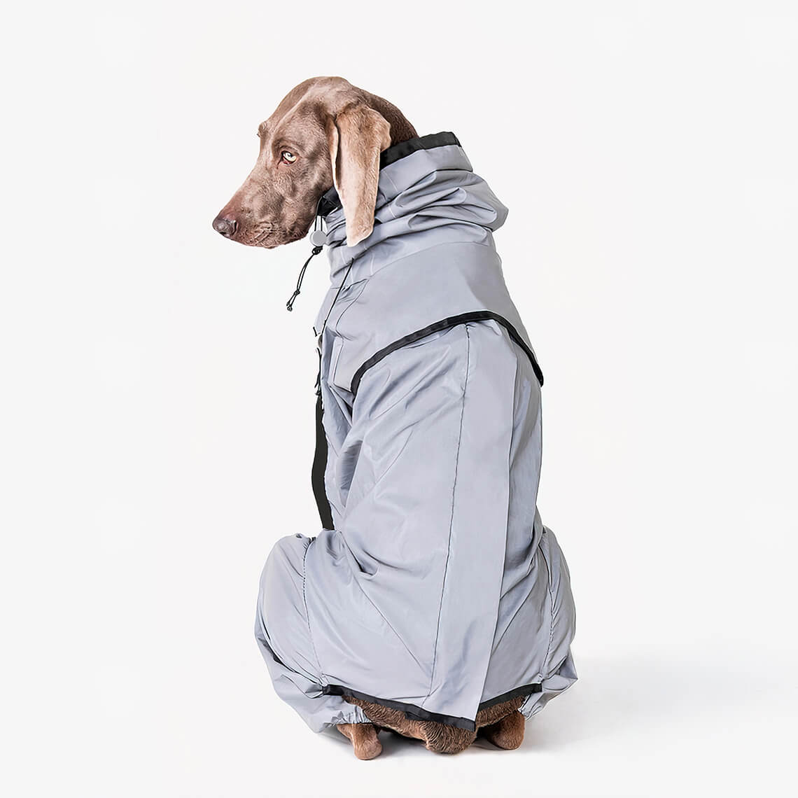 Vivolux | Reflektierender Allwetter wasserdichter cooler Hundezubehör Regenmantel