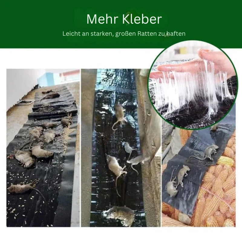 Vivolux | RodentLock Große Klebefalle – Effektive und einfache Schädlingsbekämpfung