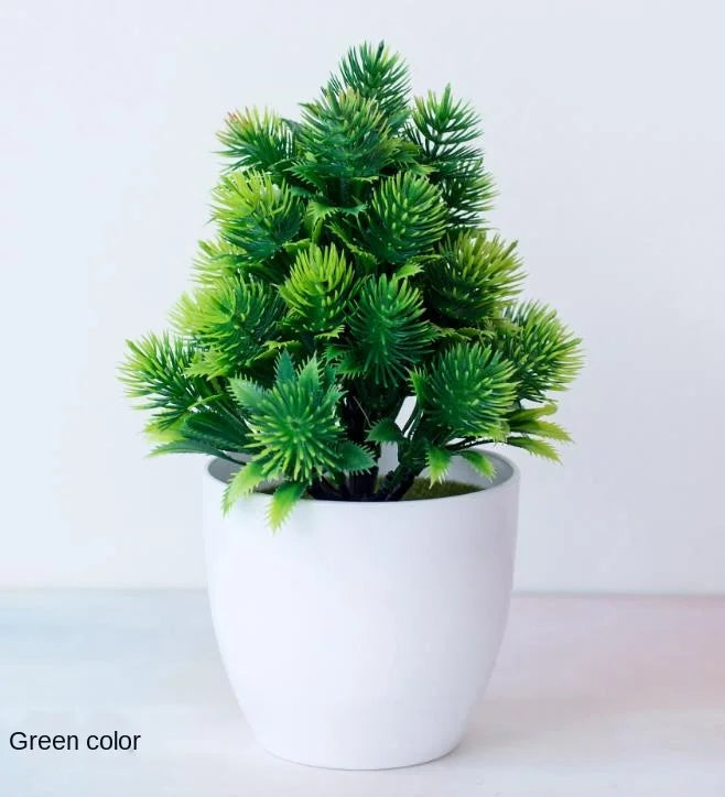 Vivolux | Kleine Baumtopf Bonsai Pflanzen