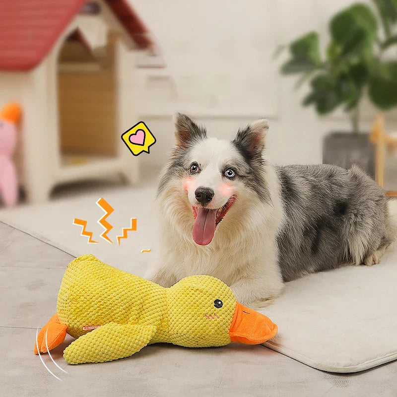 Beruhigungsente für Hunde
