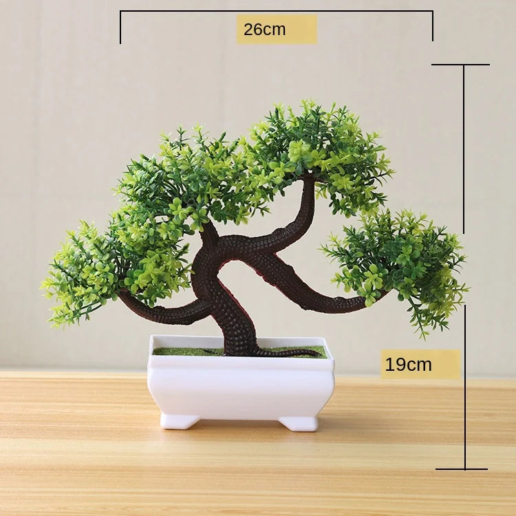 Vivolux | Kleine Baumtopf Bonsai Pflanzen