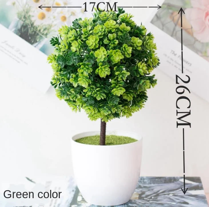 Vivolux | Kleine Baumtopf Bonsai Pflanzen