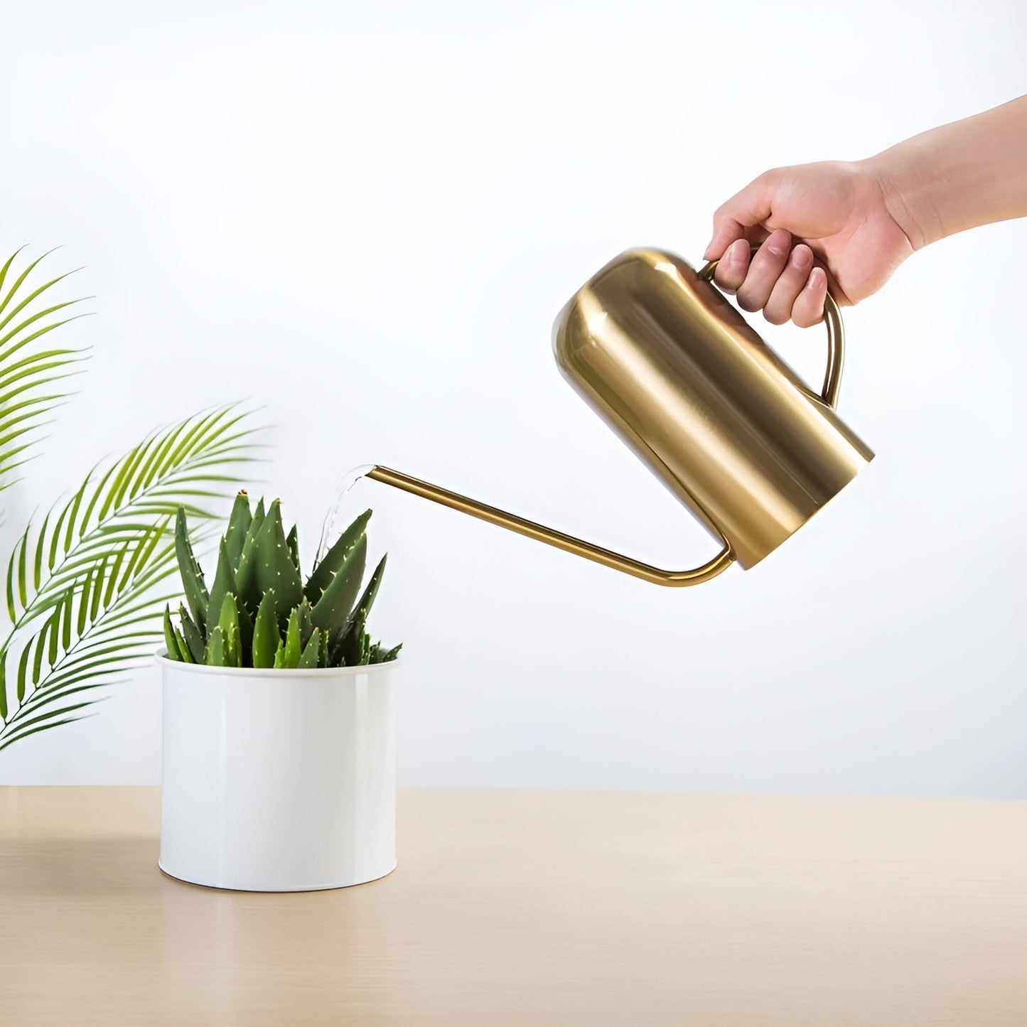 Vivolux | Edelstahl-Ausgießer - 1,5L lange Gießkanne für Pflanzen und Blumen