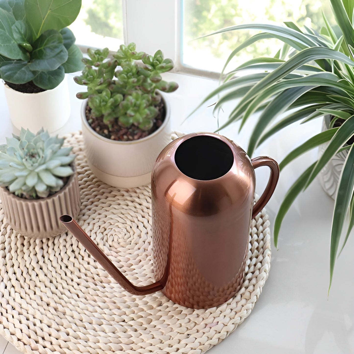 Vivolux | Edelstahl-Ausgießer - 1,5L lange Gießkanne für Pflanzen und Blumen