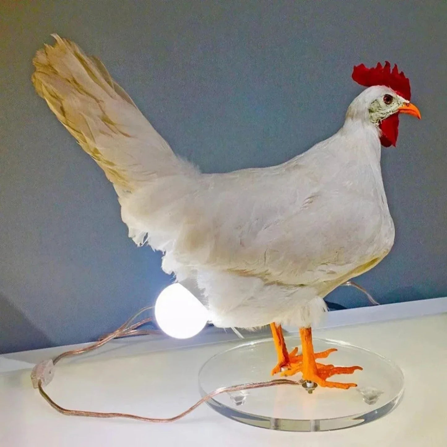 Vivolux | Bauernhaus Huhn Tischlampe