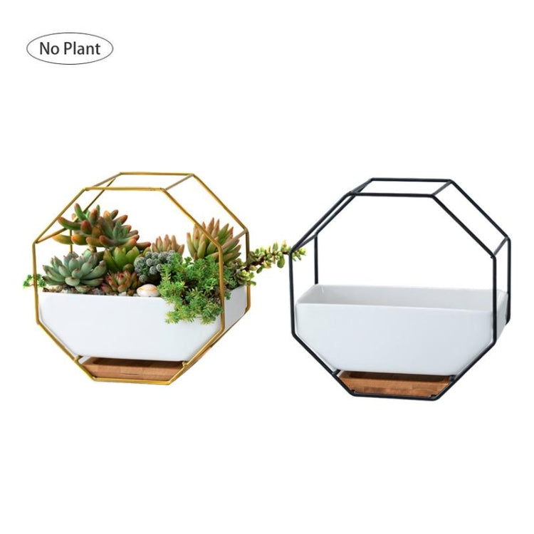 Vivolux | Einfaches octagonales geometrisches Wandhängen Tisch Sukkulenten Platauf bamboo Unterstützung Eisenrahmen Blumentopf (schwarz)