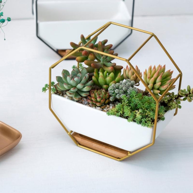 Vivolux | Einfaches octagonales geometrisches Wandhängen Tisch Sukkulenten Platauf bamboo Unterstützung Eisenrahmen Blumentopf (schwarz)