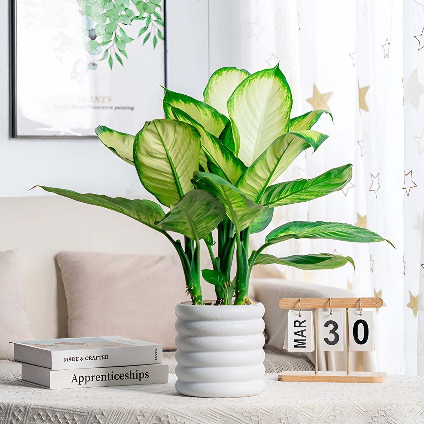 Vivolux | PureLeaf – Stilvolle luftreinigende Zimmerpflanze für eine frische und elegante Atmosphäre