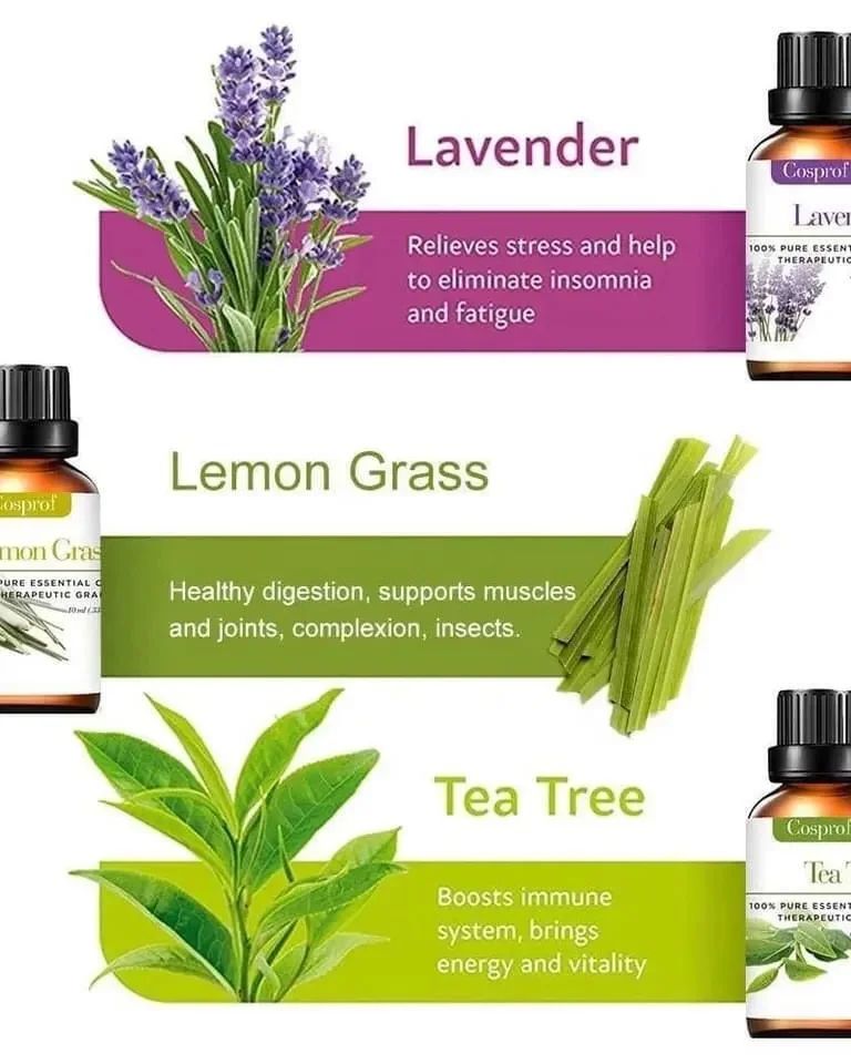 Vivolux | Set Of 12 Pure Essential Oils Gift Set