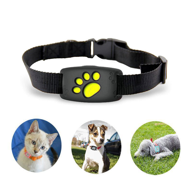 Vivolux | Schlankes GPS Katzenhalsband