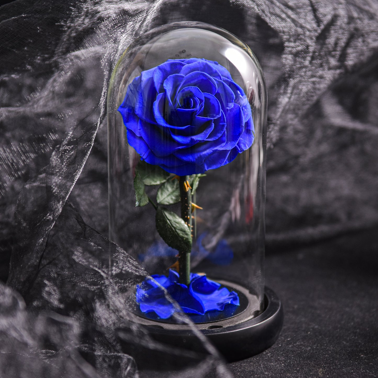Vivolux | Forever Rose in Glaskuppel-Dekoration – Rot