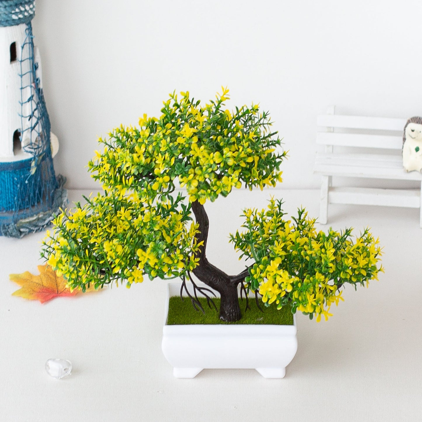 Vivolux | Pflanzen Bonsai