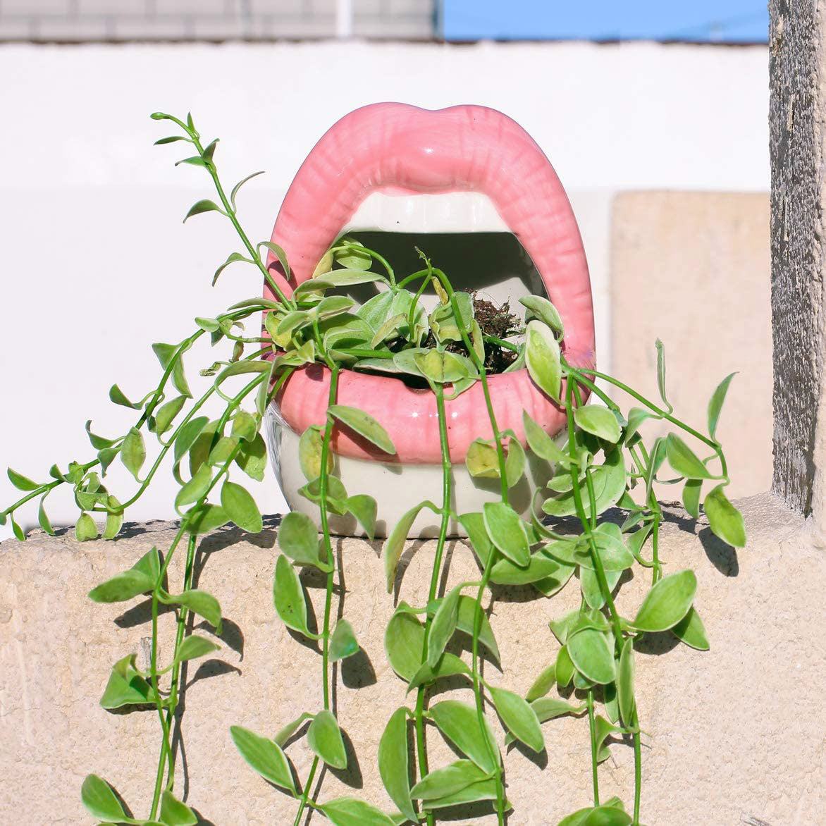 Vivolux | Lips Blumen Topf