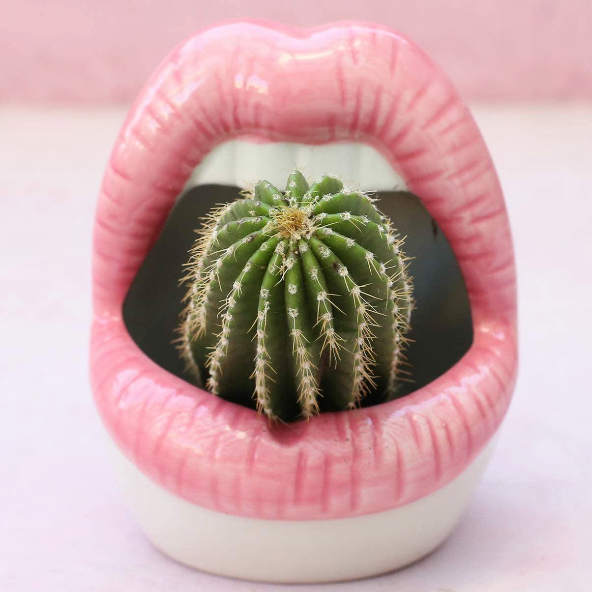 Vivolux | Lips Blumen Topf