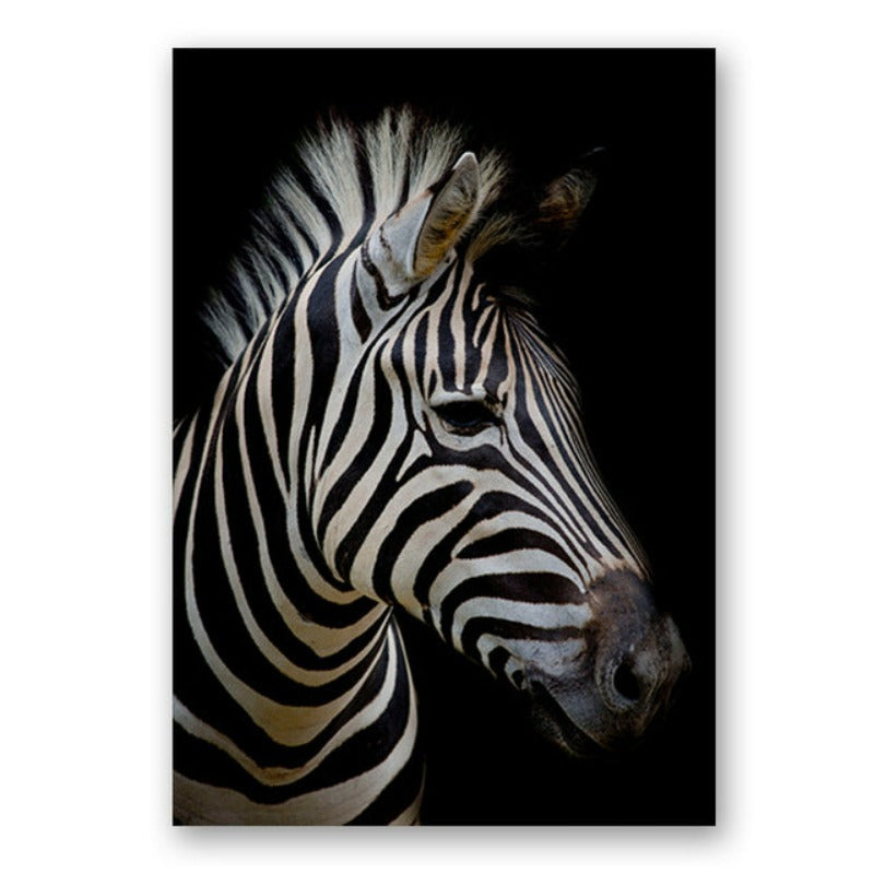 Vivolux | Natur Wildtiere Afrika Wildtiere Schwarz Weiß - Leinwand Wandkunst Malerei