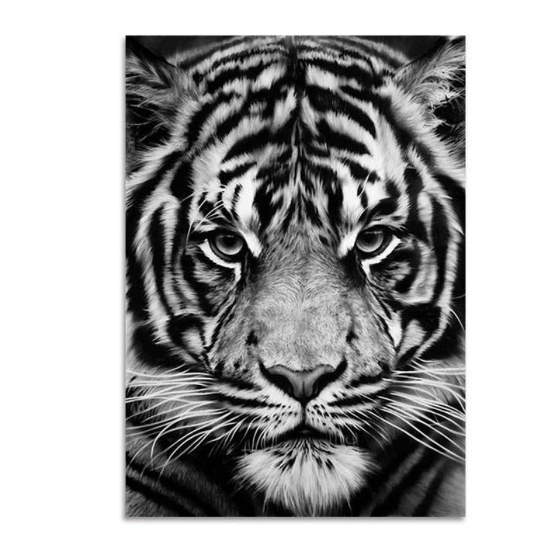 Vivolux | Natur Wildtiere Afrika Wildtiere Schwarz Weiß - Leinwand Wandkunst Malerei