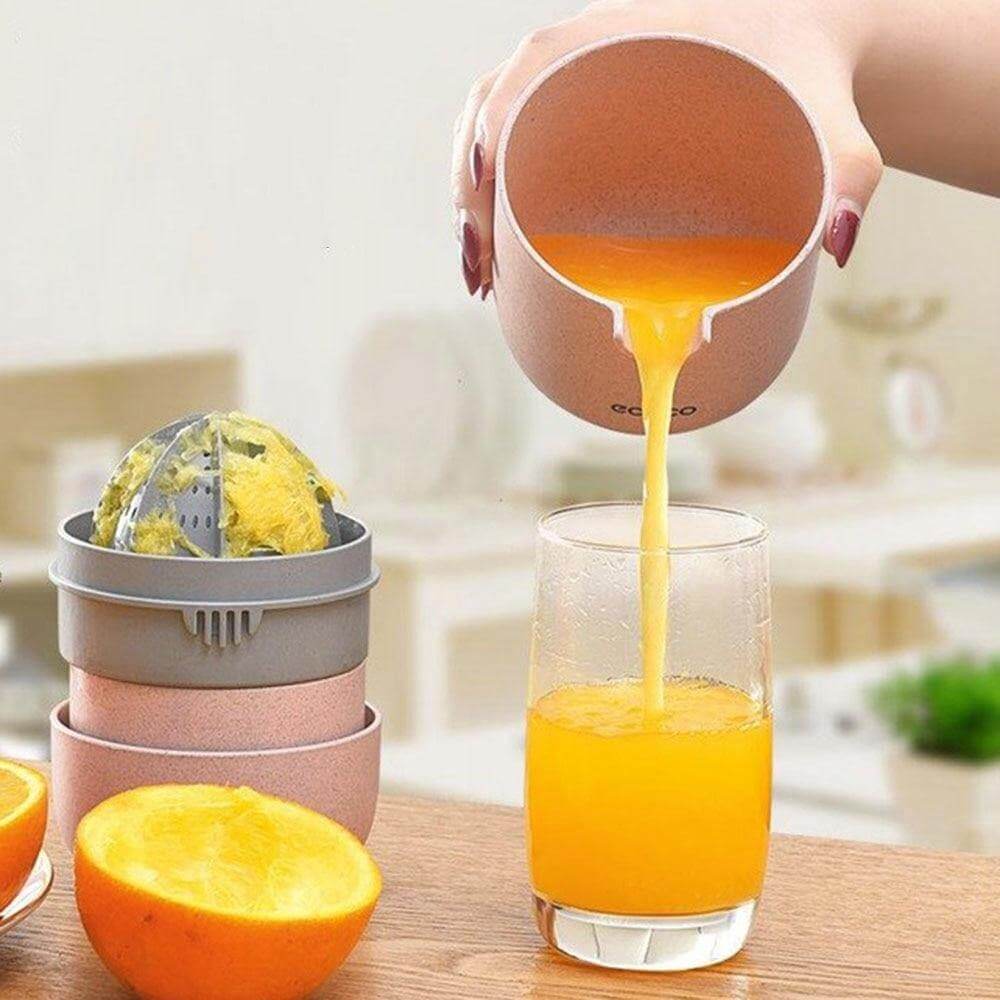 Vivolux | Portabler einfacher Pastell Mini Entsafter