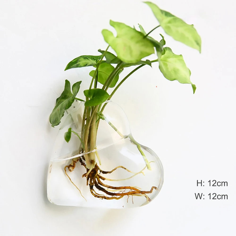 Vivolux | Wandvase aus Glas