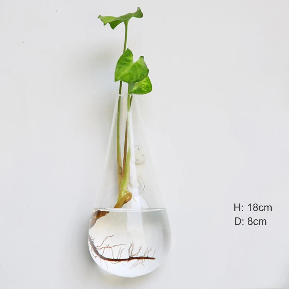 Vivolux | Wandvase aus Glas