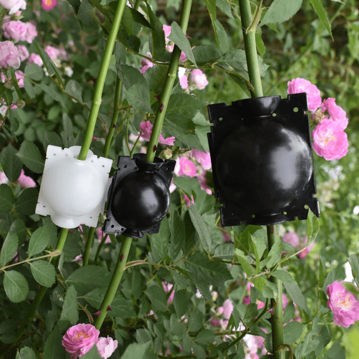 Vivolux | Luftschichtungs Pflanzenvermehrer Pod