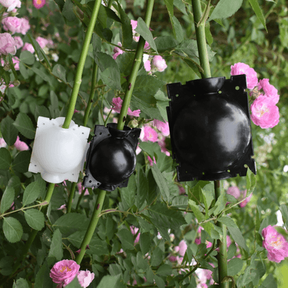 Vivolux | Luftschichtungs Pflanzenvermehrer Pod