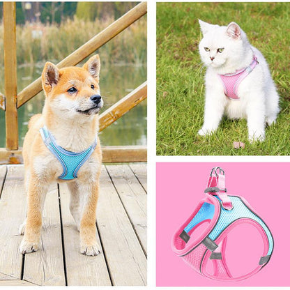 Vivolux | Haustier-Brustgeschirr