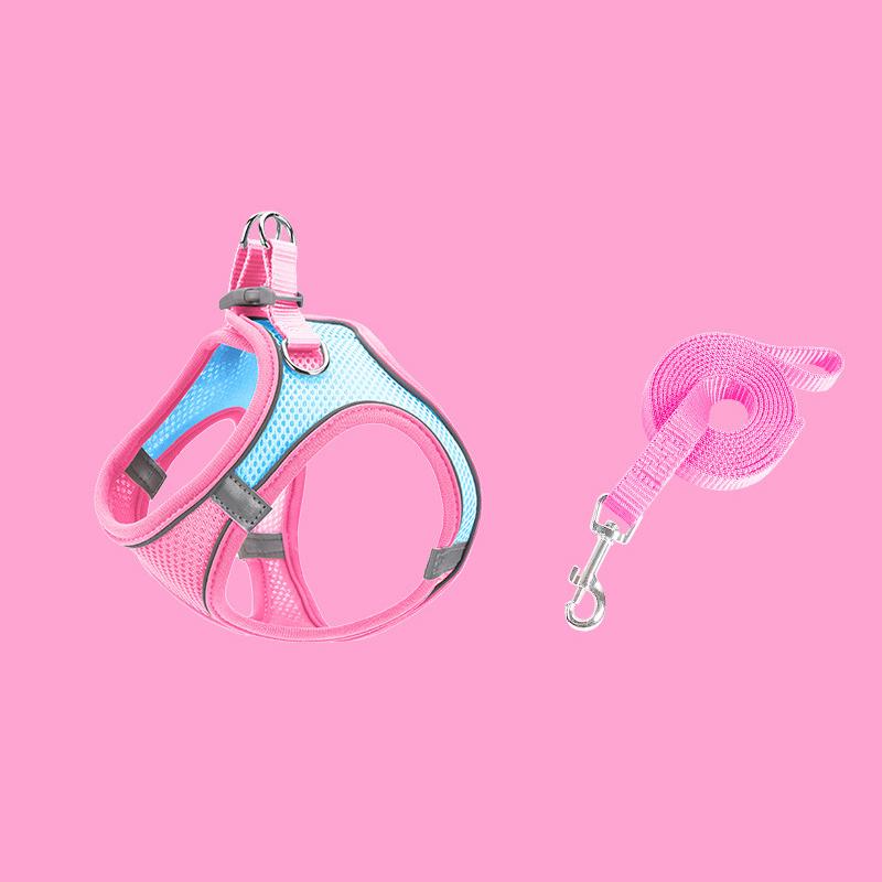 Vivolux | Haustier-Brustgeschirr