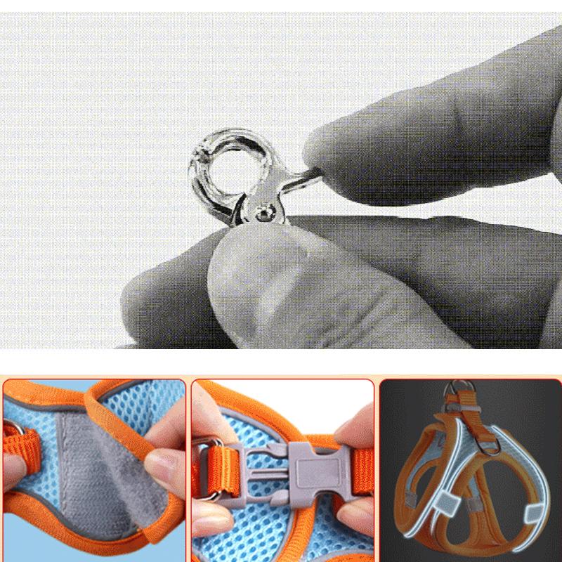 Vivolux | Haustier-Brustgeschirr