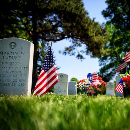 Vivolux | 100-Pack: USA 4x6 in Holzstabflagge