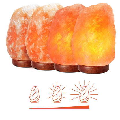 Vivolux | Himalaya Salzlampe mit Dimmer Schalter
