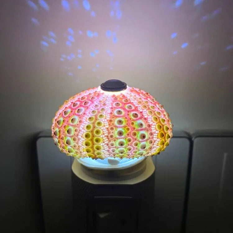 Vivolux | LumiCraft – Einzigartige DIY Tischlampe mit natürlicher Urmuschel für eine stimmungsvolle Einrichtung