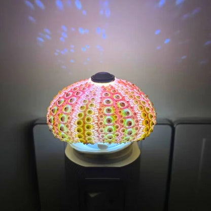 Vivolux | LumiCraft – Einzigartige DIY Tischlampe mit natürlicher Urmuschel für eine stimmungsvolle Einrichtung