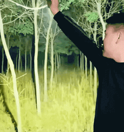 Deutsche dreiäugige Monster-Mini-Super-Power-Taschenlampe