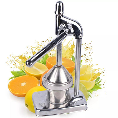 Vivolux | Stainless Steel Fruit Juicer