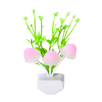 Vivolux | Decoratieve Zeewier Plastic Wandlamp Plug-in LED Nachtlamp in Groen, Multicolore Licht